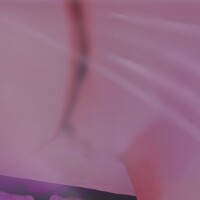 毎日