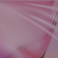 これは…