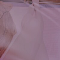 おはよおございます