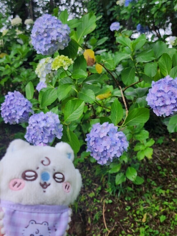 💕本指Ｏ様💕いつもありがとう