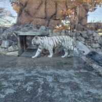 ともか