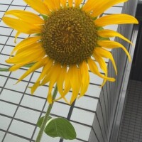 イベントやってるよ😎