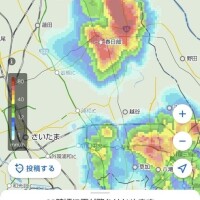 よつば