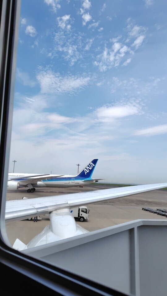 急遽出勤致します✨️