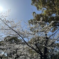 ゆの