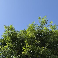 グッドモーニング☀️