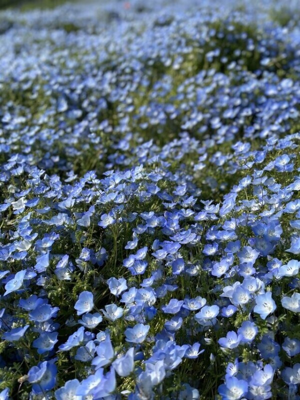 今日も1日お疲れ様ッ！