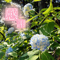 うた