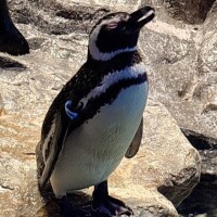 お礼日記！！と、次回は？