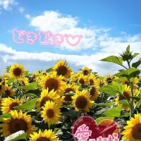 れいな