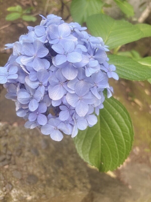 メッセージだけでもしませんか？