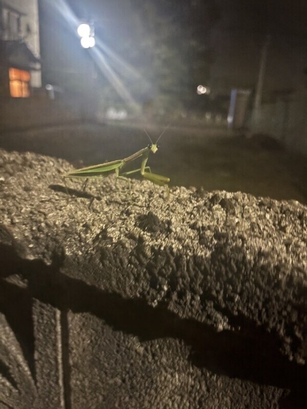 みてみて！！！