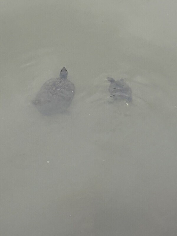 おはようございます！！