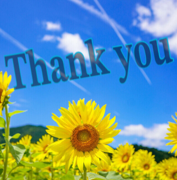 おはようございます☀️