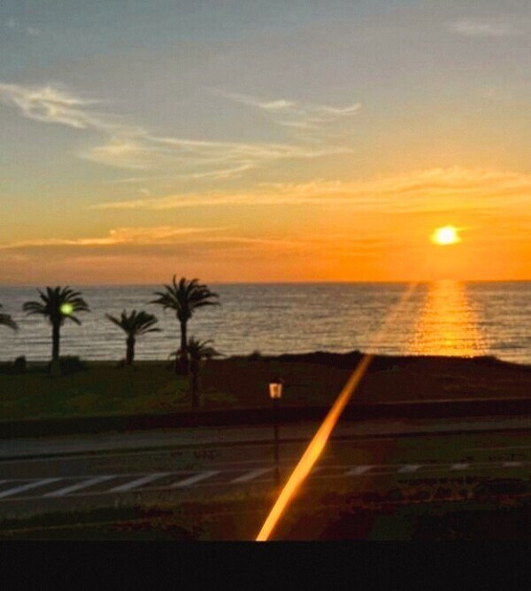 １日の終わりに甘いご褒美を