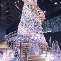 本日、24:00まで！！！！！