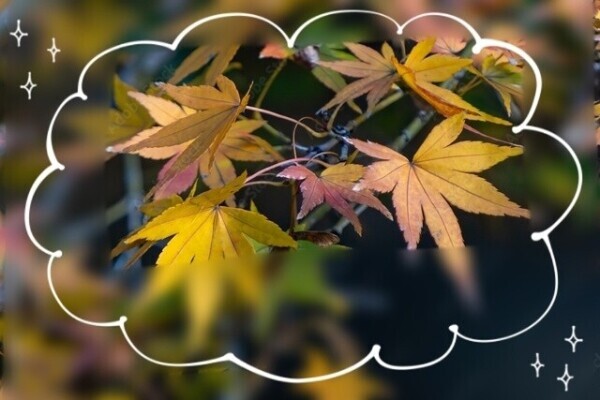 １２月なのに!!