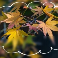 １２月なのに!!