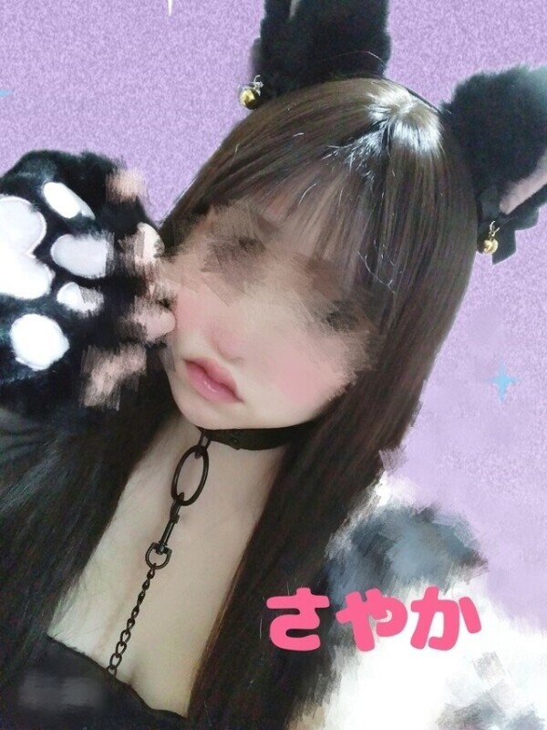 🐈‍⬛ねこ派な私🐈