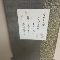 感謝(｡･ᴗ･)_