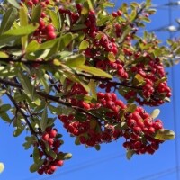 19時〜21時半でお待ちしてます🫶