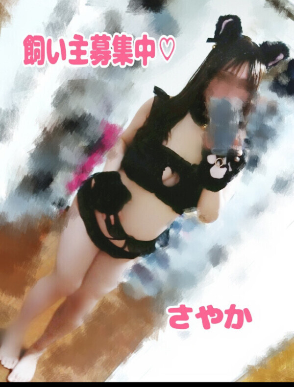 ねこちゃ🐈‍⬛🐾