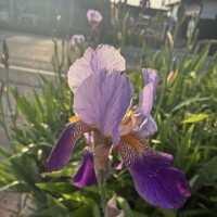 21時から！