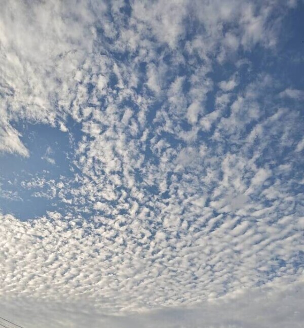 人生初の写メ日記✨