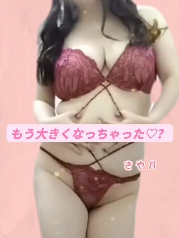 今日から（金）まではお休みです💡
