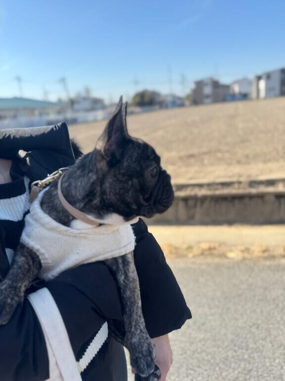 ぽかぽか??