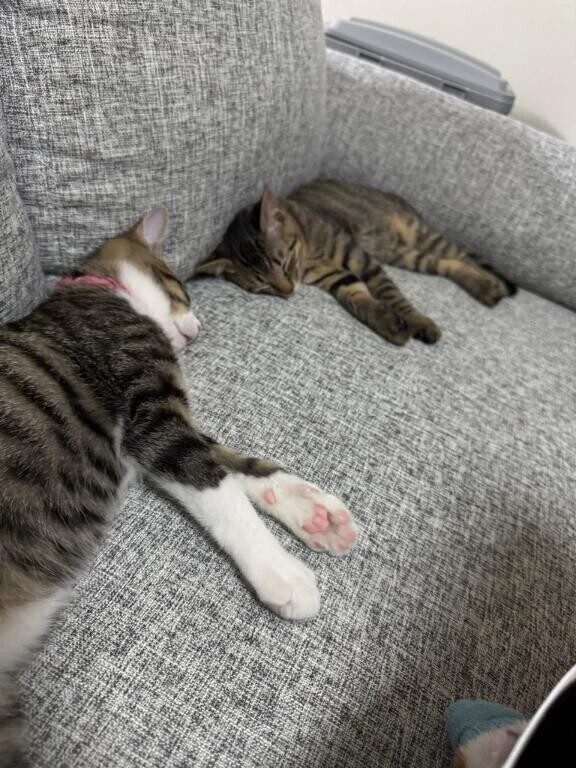 会えない日は想像で我慢して？?