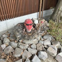 雨、風、強すぎる
