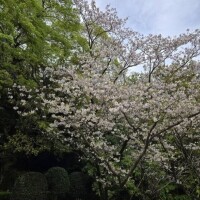 ともか