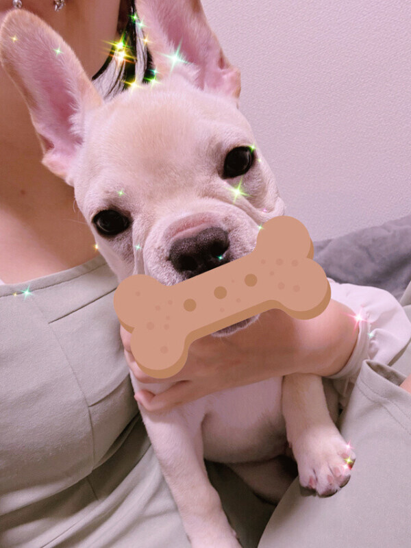 わんこにも目覚めた…( ✧Д✧)