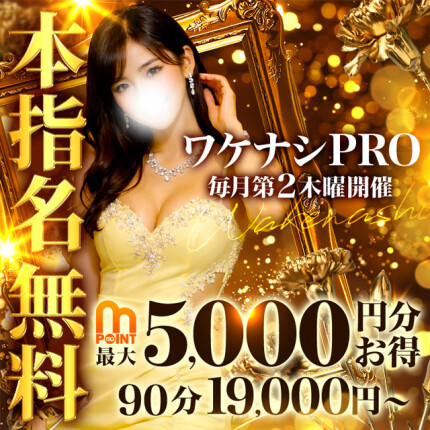 ワケナシPRO