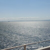 海を渡って⁉️エロ活❣️