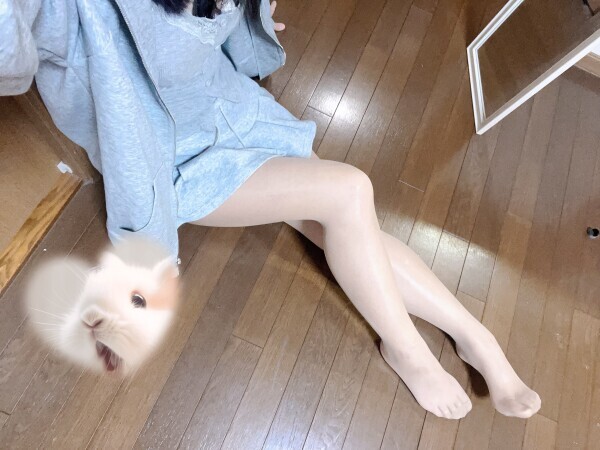 しゅっきんようび