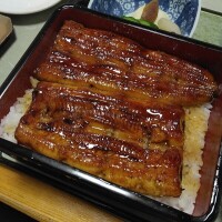 うなぎ♡