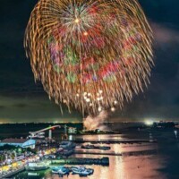 残念🎆