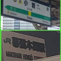 導線？
