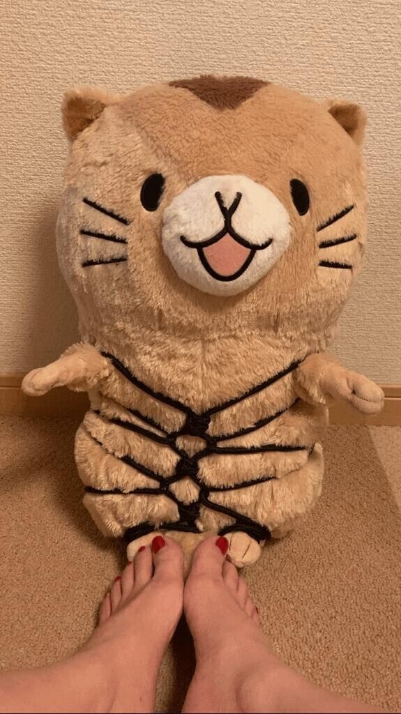 5日目