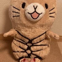5日目
