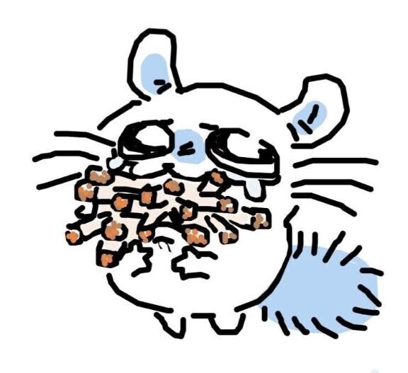 は美容day