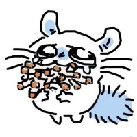 は美容day