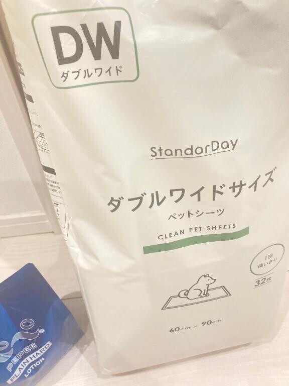 6日目終了
