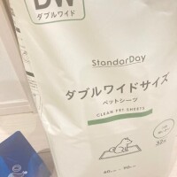 6日目終了