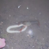 お友達は今日も元気❗