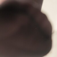 残り2日