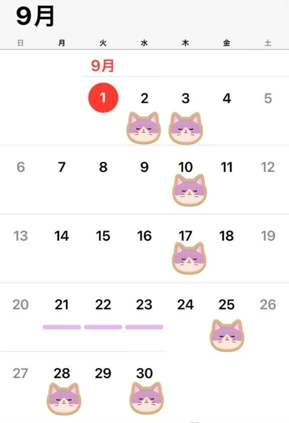 🌟9月予定（仮）