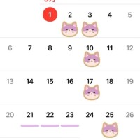 🌟9月予定（仮）